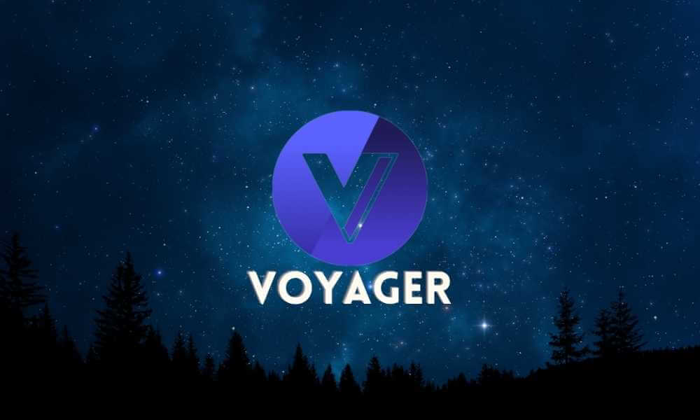 Voyager rejects Alameda buyout offer as it 'harms customers'